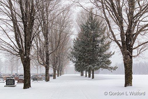 Cemetery Snowfall_04806.jpg - Photographed at Smiths Falls, Ontario, Canada.
